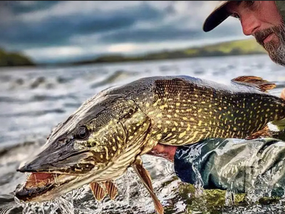 Best Lures – Best choise for everybody