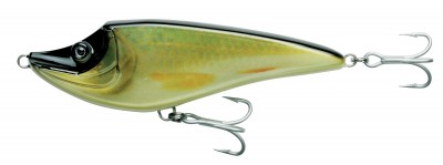 HI-LO Jerkbait 150mm color RLSTC RCH