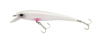 Rocket Minnow color albino