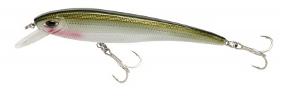 Rocket Minnow color shad