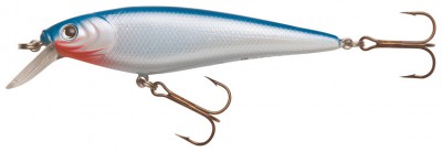 Firestick Minnow color BW