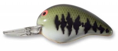 Fat A B04F color BBO