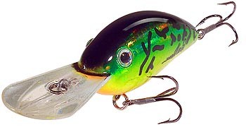 Fat Free Guppy BD5M color 
