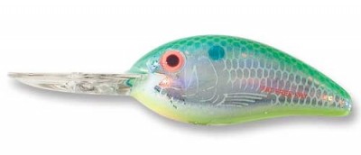 Fat Free Guppy BD5M color DCS