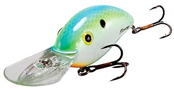 Fat Free Shad Jr. BD6F color 