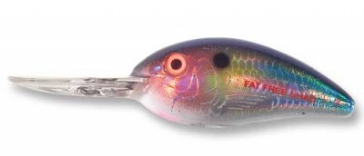 Fat Free Shallow BD5SL color DTFS