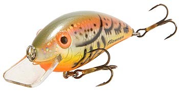 Fat Free Shallow BD6SL color 