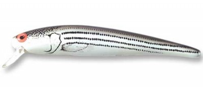 Long A B15A color XBS