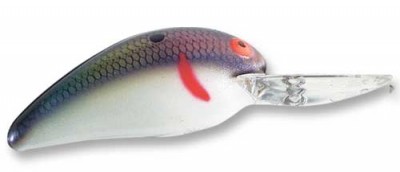 Model A B07A color BTS