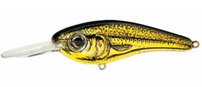 Grappler Shad color 415