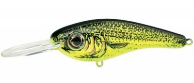 Grappler Shad color 418