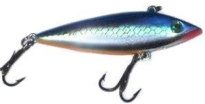 Spot Minnow color 