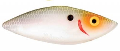 Super Spot color 365