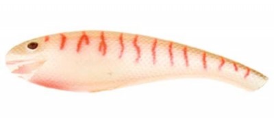 Wally Diver color 336