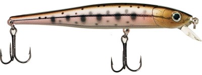 DB Minnow SP color 22