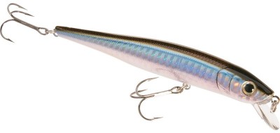 DB Minnow SP color 25