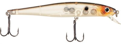 DB Minnow SP color 34