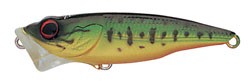 TD Popper-Zero color 40