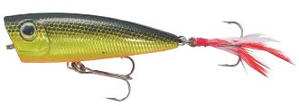 Effzett Feather Weight Popper color surface minnow