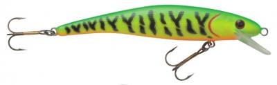 Effzett Pointer color fire tiger