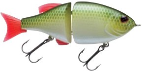 Effzett Power Skater 2-Jointed color roach