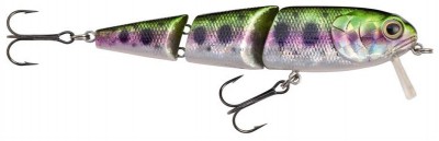 Effzett Snake Diver color rainbow trout