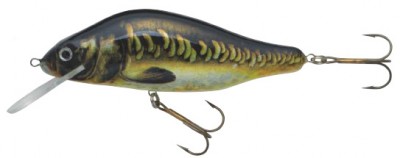 Effzett Super Natural 2 color carp