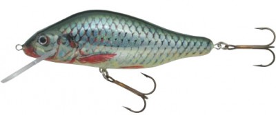 Effzett Super Natural 2 color roach