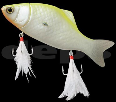 Killer Compas color 08