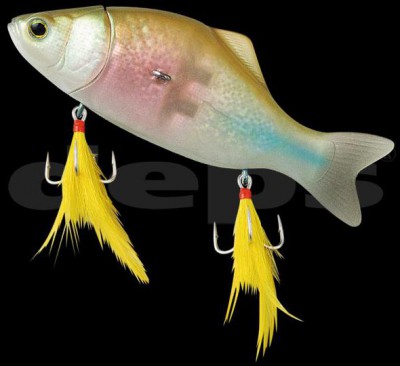 Killer Compas color 09