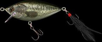 Realiser Jr. color 04