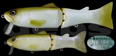 Silent Killer color 05