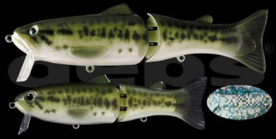 Silent Killer color 16