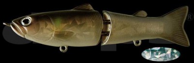 Slide Swimmer color 15