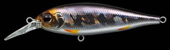 bankshad color 209