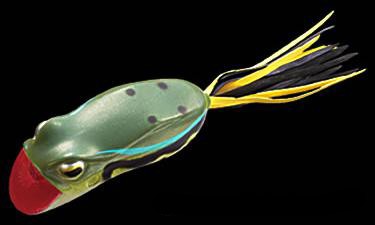 Darter Frog color 202