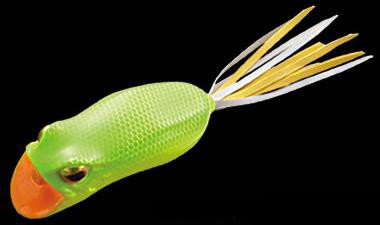 Darter Frog color 205