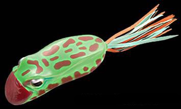 Darter Frog color 230