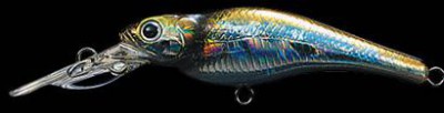 Spin Move Shad color 113