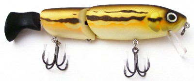 Timberflash Noisy Dachs color 