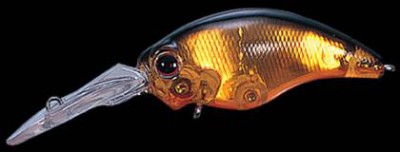 Wild Hunch color 018