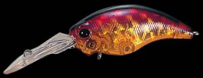 Wild Hunch color 019