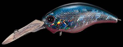 Wild Hunch color 020