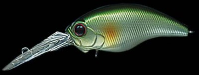 Wild Hunch color 027