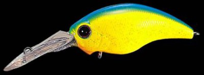 Wild Hunch color 028