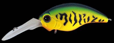 Wild Hunch color 046