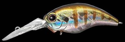 Wild Hunch color 050