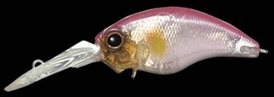 Wild Hunch color 054