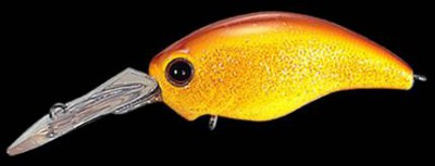 Wild Hunch color 060