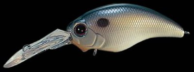 Wild Hunch color 062